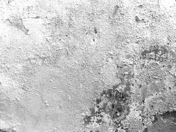 Download Rough Wall Cement Texture Design - Premium Resources
